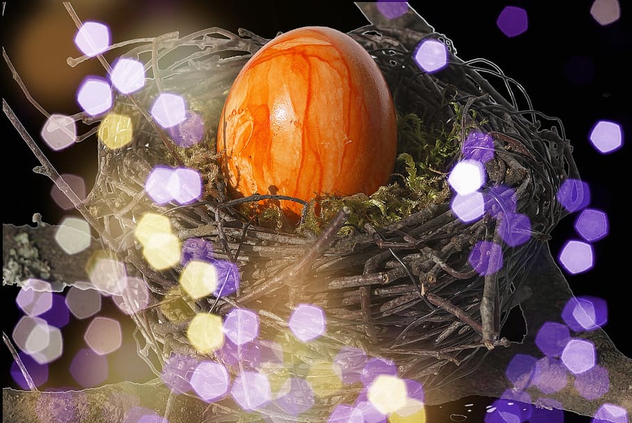 easter, happy easter, œuf, spring, eat, power, festival, light HD wallpaper