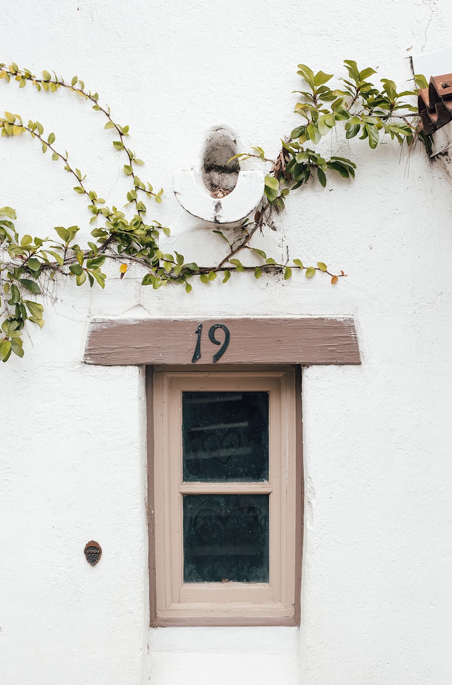 brown window frame, plant, architecture, built structure, building exterior HD wallpaper