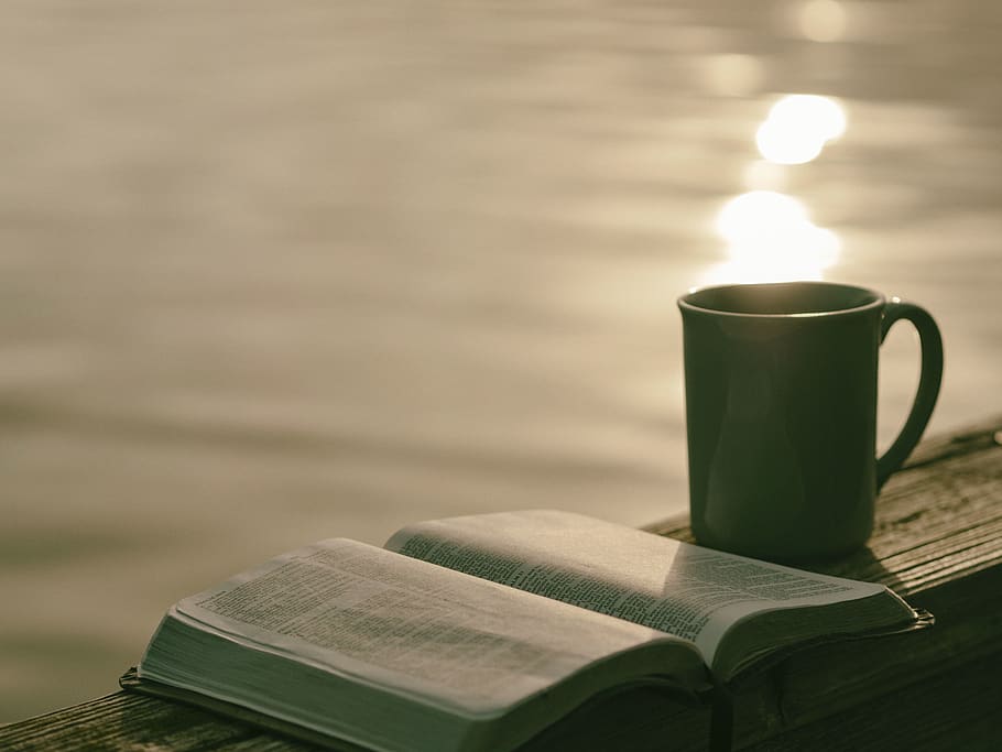 book, pages, sheet, novel, bible, verses, chapter, cup, coffee HD wallpaper
