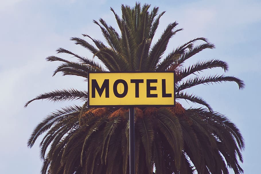 motel, trees, building, establishment, rooms, signage, communication HD wallpaper