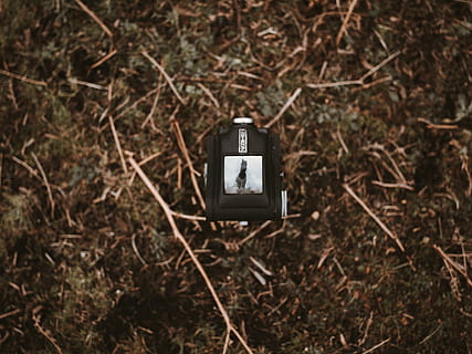 black camera on grass, ground, soil, adapter, electrical device HD wallpaper