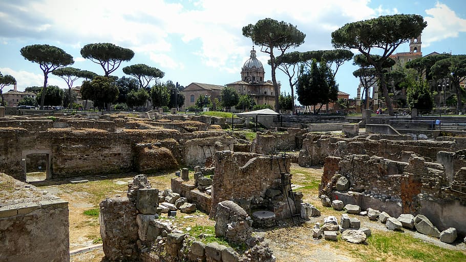 italy, rome, plant, tree, architecture, history, the past, old ruin HD wallpaper