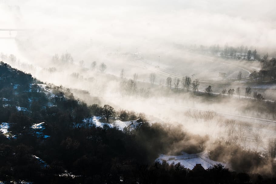 fog, sunrays, trees, morning, mist, scenics - nature, beauty in nature HD wallpaper