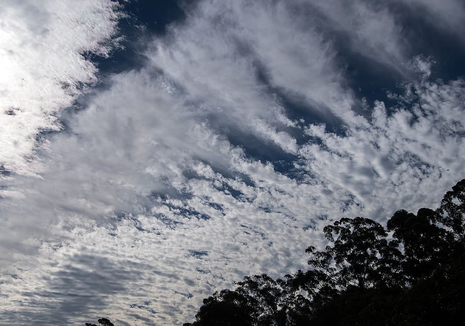 clouds, white, blue, fluffy, cirrocumulus, cloudscape, weather, HD wallpaper