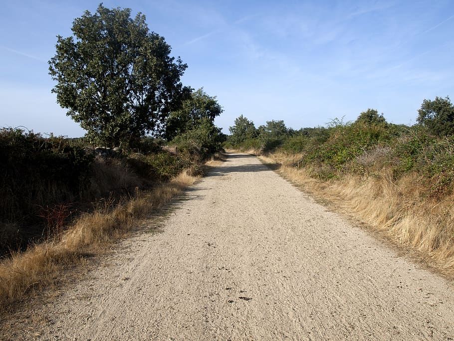 path, earth, field, rural landscape, nature, walk, sky, sand HD wallpaper