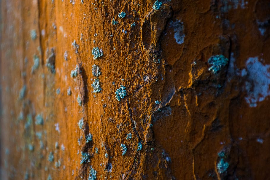 HD wallpaper: Close-up Photography of Wall, background, colors, dark, decay  | Wallpaper Flare