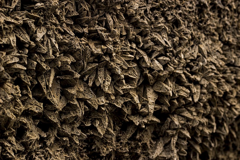 Grayscale Photo of Leaves, art, dark, design, dry, texture, full frame HD wallpaper