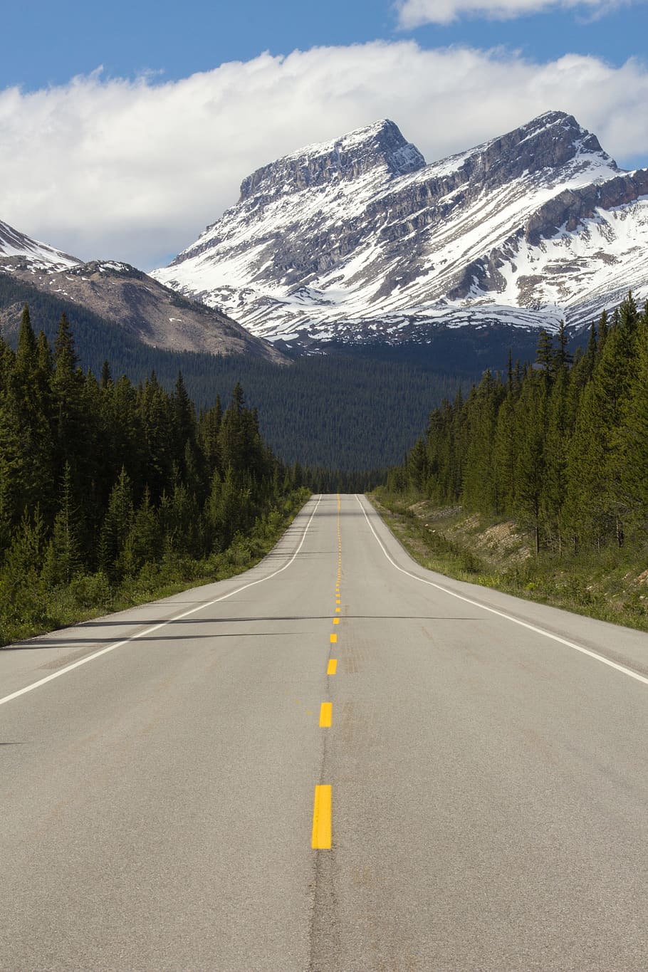 straight road between trees, mountain, nature, canada, highway