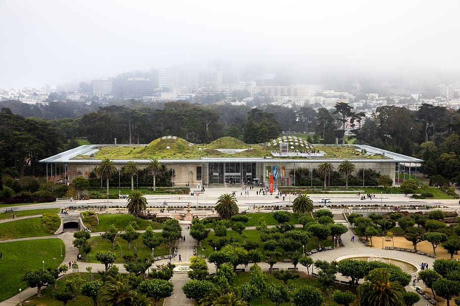 white building surrounded by trees, downtown, plaza, architecture HD wallpaper