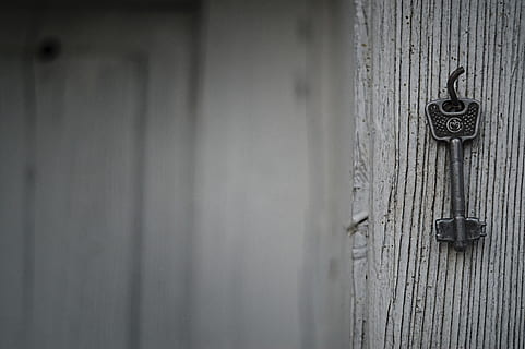 Selective Photography of Skeleton Key Hanging, blur, close-up HD wallpaper