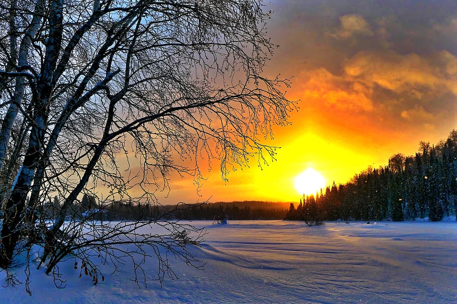 sunset, landscape, nature, winter, trees, birch, cold, gel HD wallpaper
