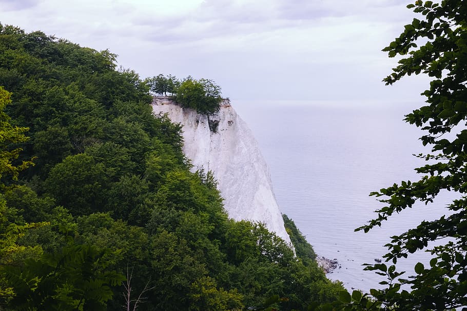 Königsstuhl chalk cliff, area, baltic, beach, chalk-cliff, coast HD wallpaper