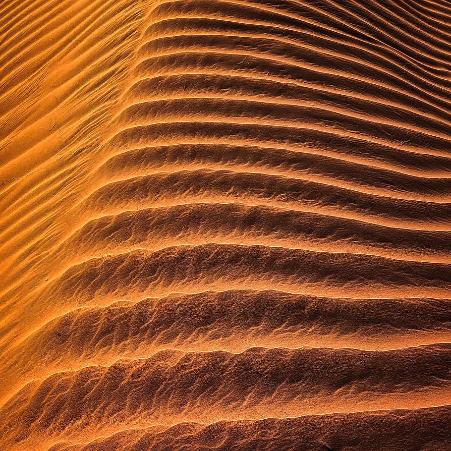 Desert Erg, arid, bright, colors, curves, dry, dunes, heat, hot, HD wallpaper