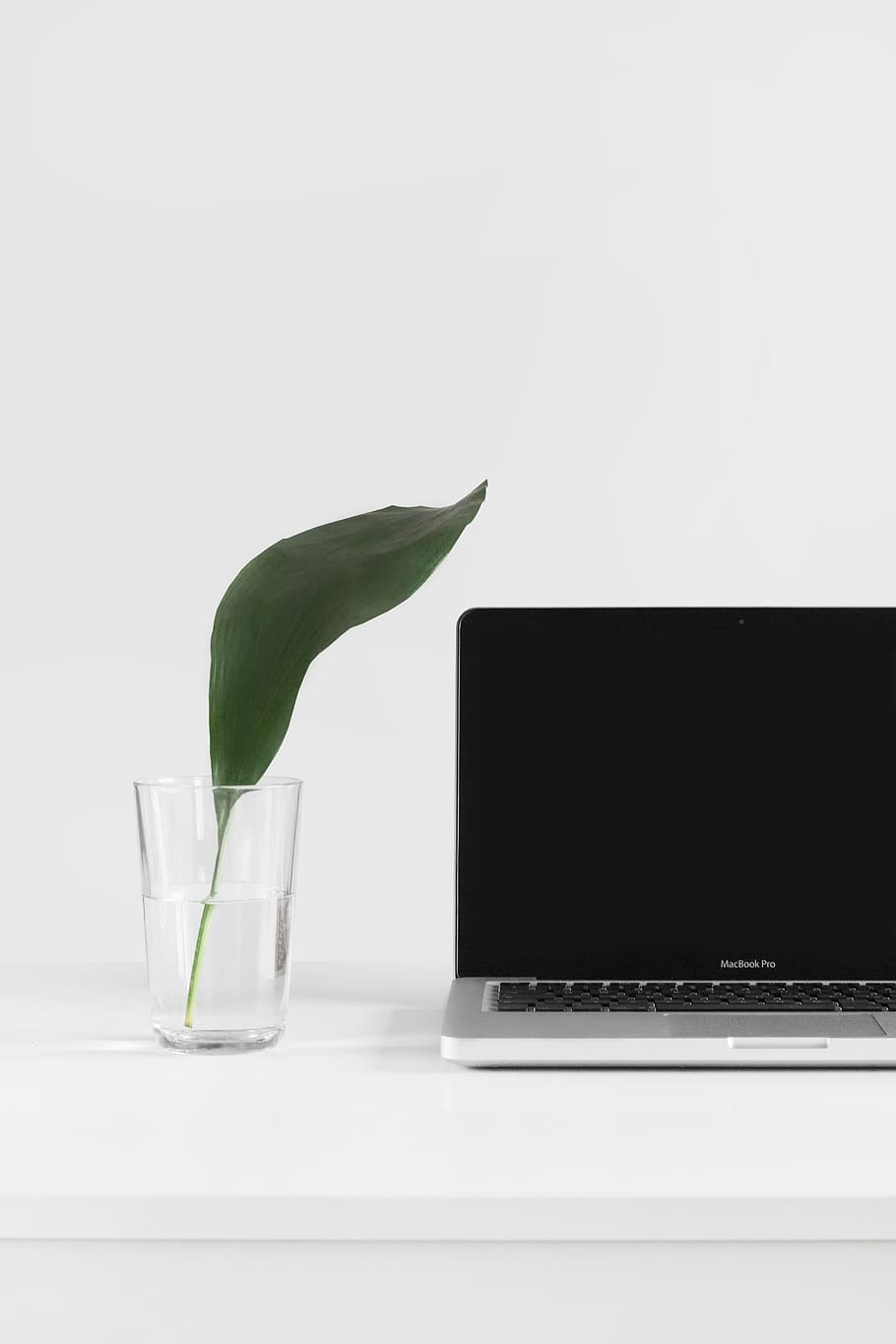 laptop, apple, keyboard, technology, mac, application, software HD wallpaper