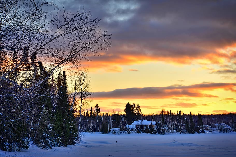 winter landscape, nature, tree, sunset, evening, colors, nature sunset HD wallpaper