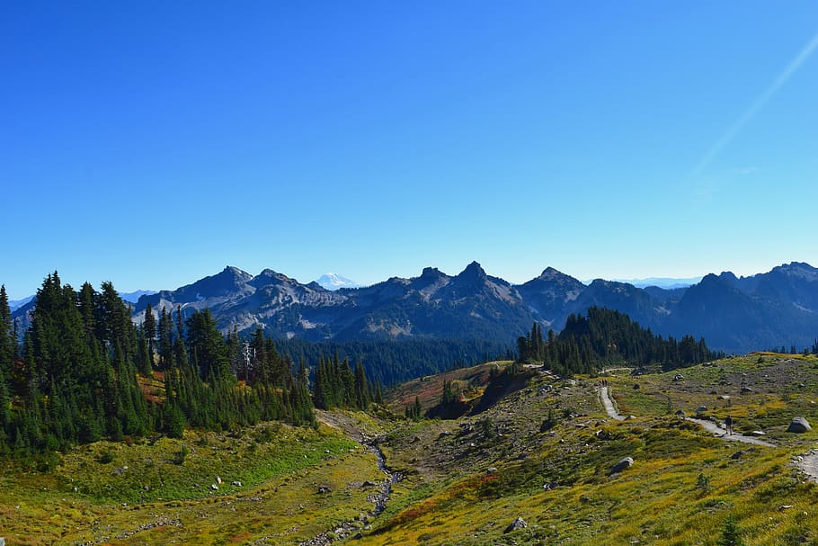 mountains, trail, path, hiking, morning, sunlight, sky, blue, HD wallpaper