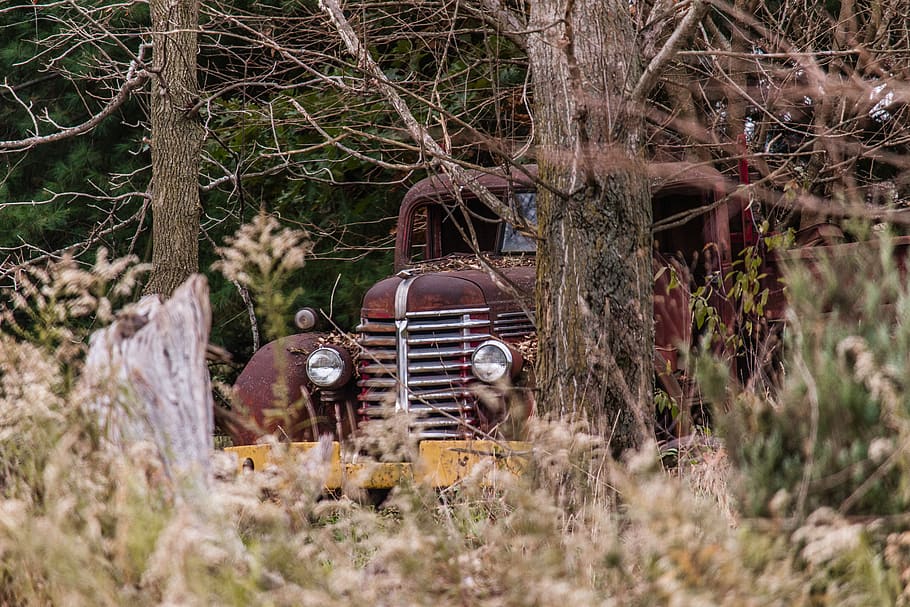 red coupe near trees, rust, hamilton, united states, vegetation HD wallpaper
