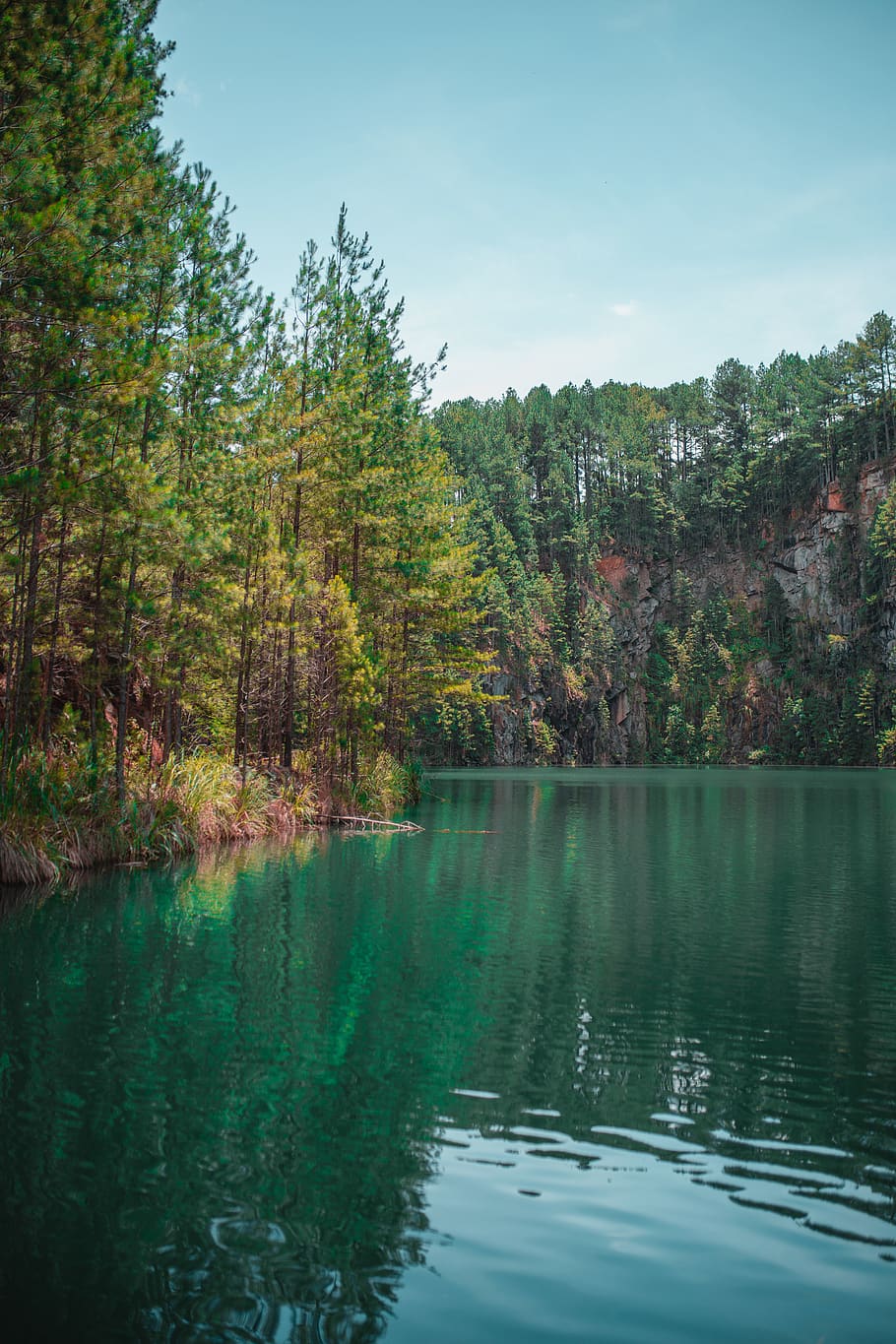 Lake Surrounded by Green-leafed Trees, barbaric, conifer, daylight HD wallpaper