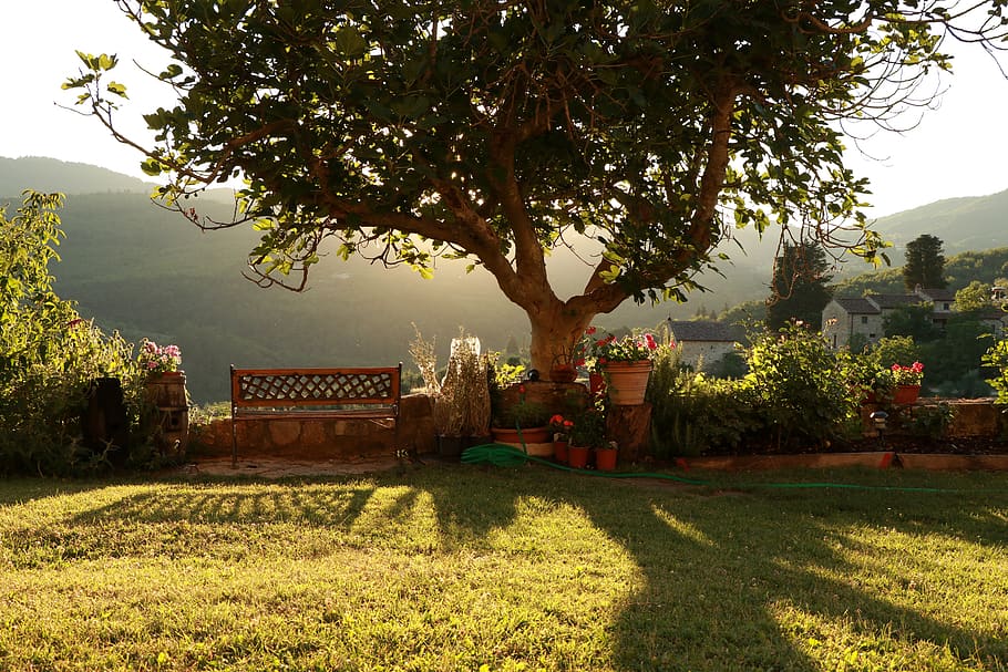 chianti, tree, sunset, backlight, hills, tuscany, italy, bench HD wallpaper