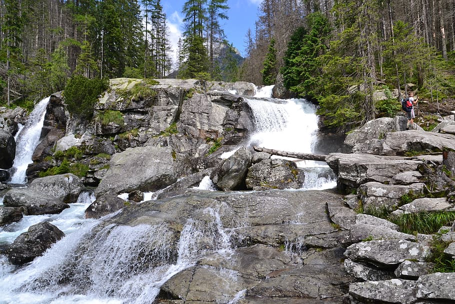 waterfall, stones, river, mountain river, running water, tree HD wallpaper
