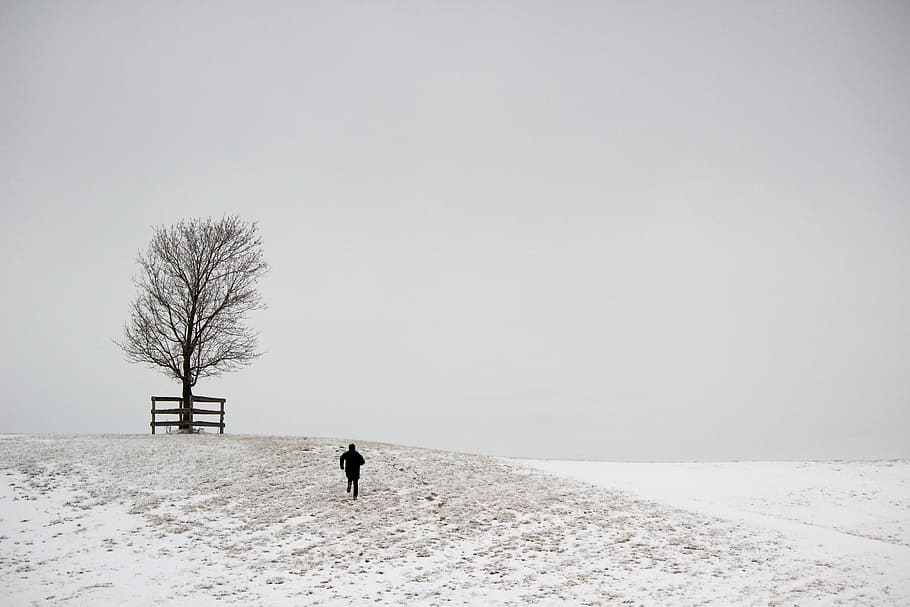 A running figure and a tree on a snowy hill with foggy background HD wallpaper