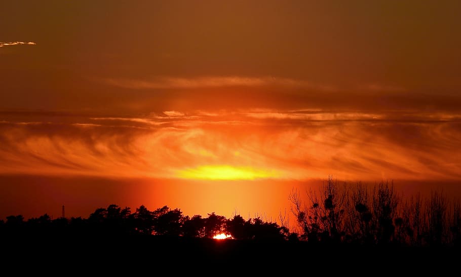 sunset, landscape, tree, clouds, mood, scenery, sky, cloud - sky HD wallpaper