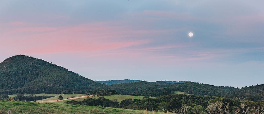 australia, dorrigo, moutain, forest, moon, pink, blue, sunset
