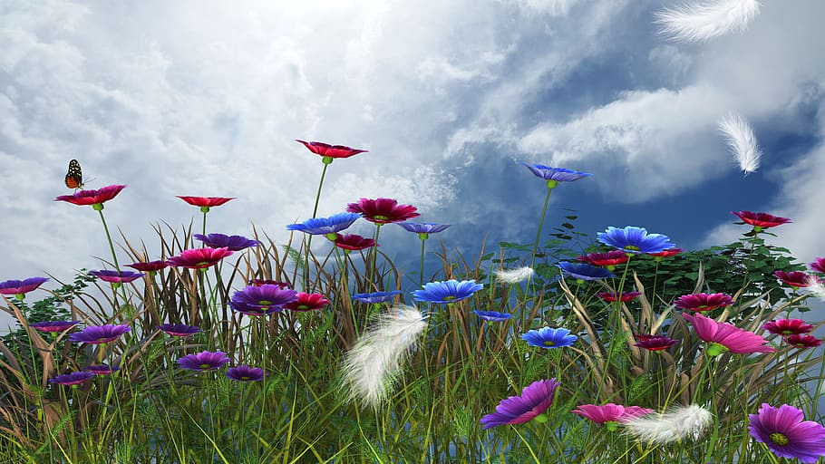 spring, nature, flowers, green, flora, plants, flowering plant HD wallpaper