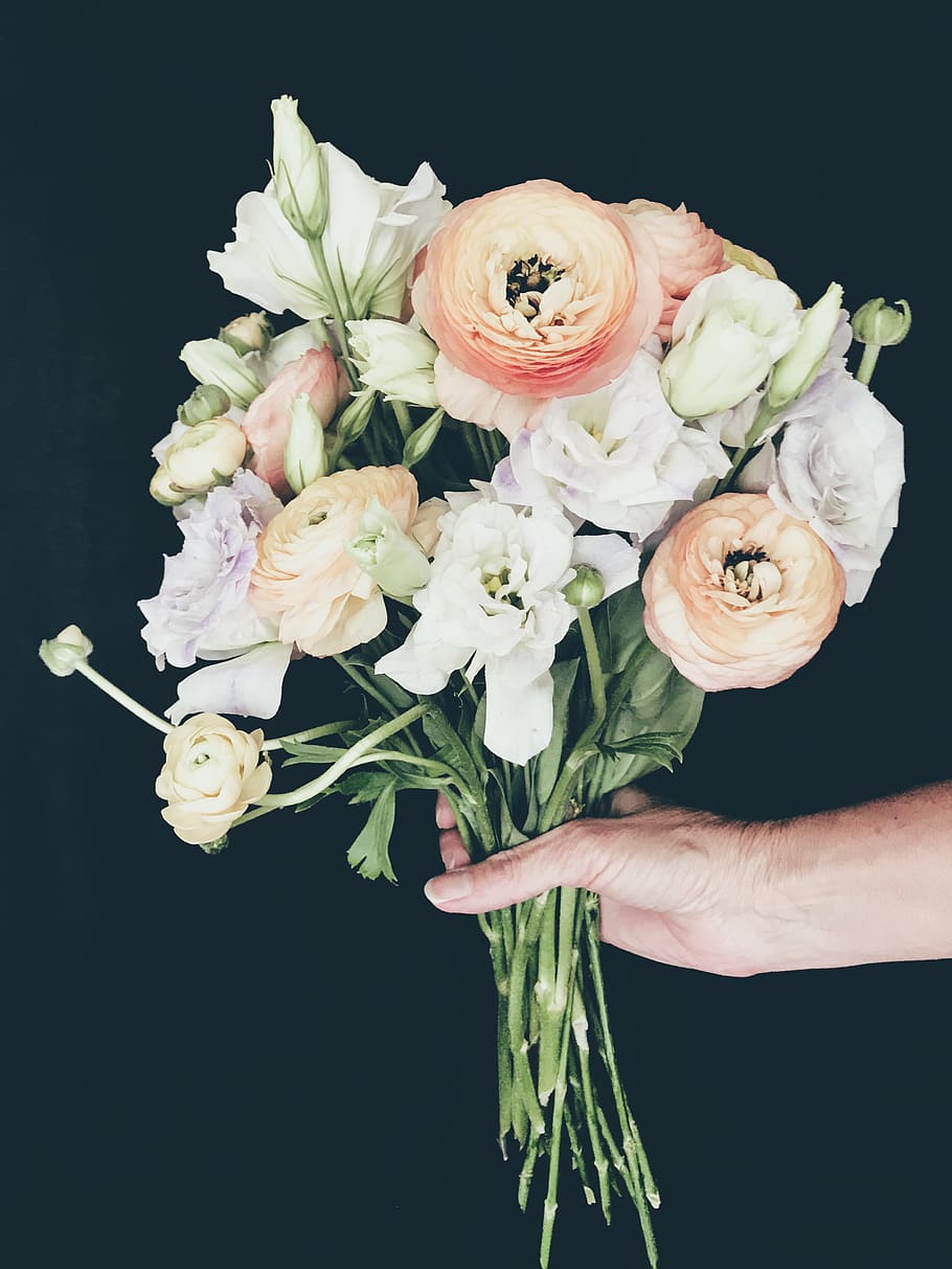 flower, flowering plant, human hand, freshness, fragility, vulnerability HD wallpaper