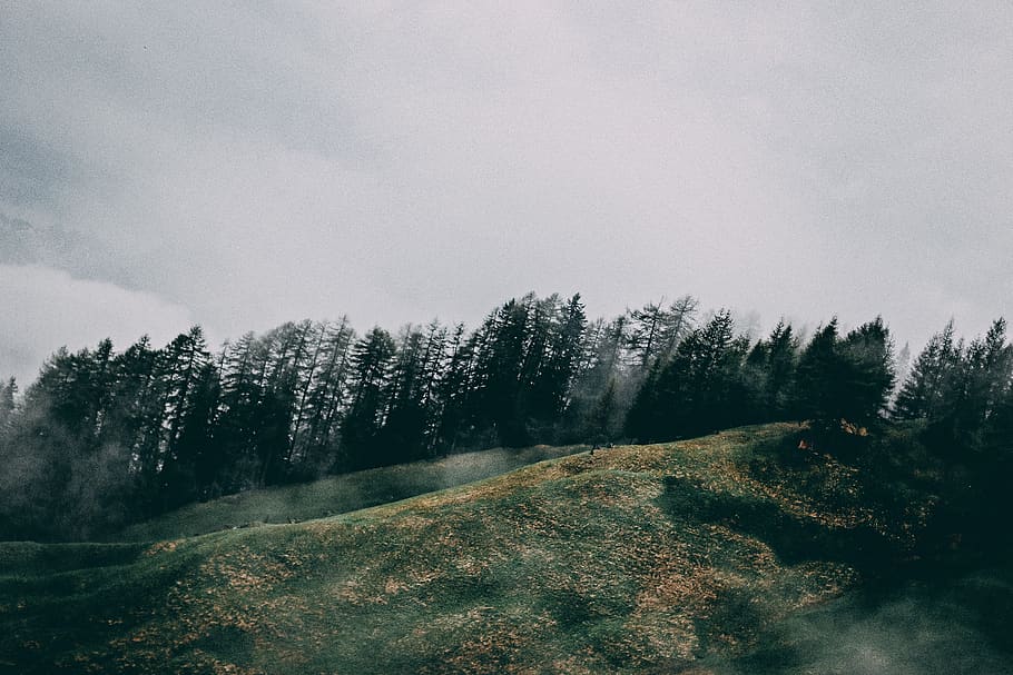Rolling Hills, clouds, cold, daylight, environment, fog, foggy HD wallpaper