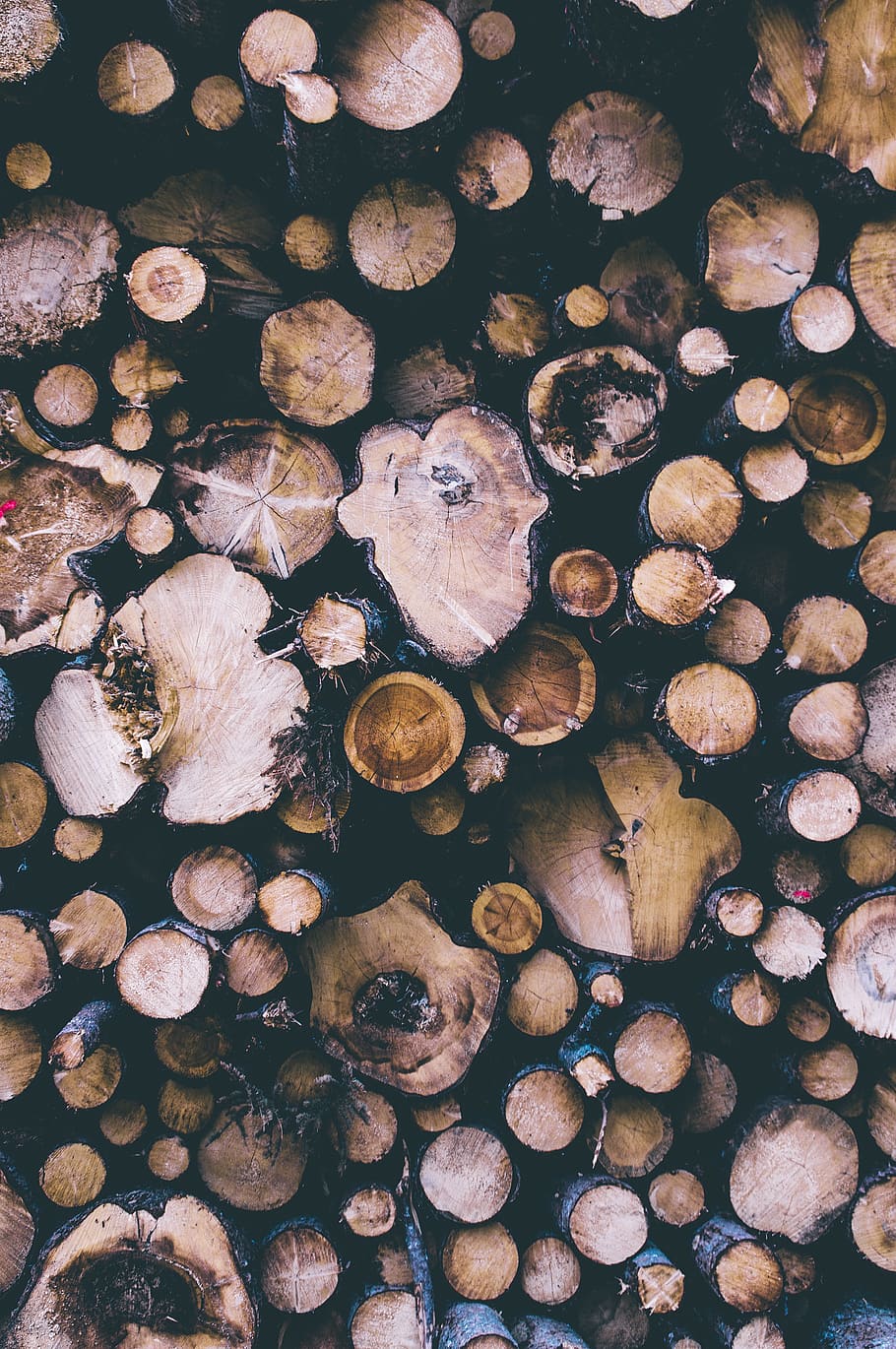 italy, merano, timber, log, large group of objects, full frame HD wallpaper