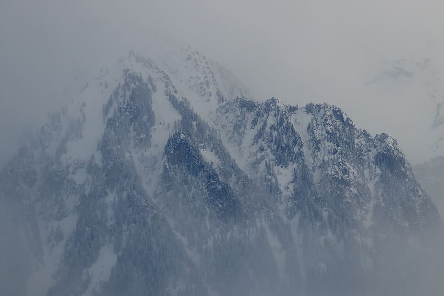 switzerland, puidoux, mountain, tree, trees, snow, ice, rock HD wallpaper