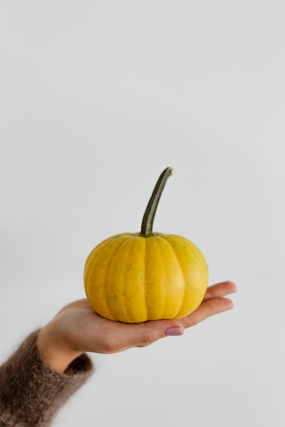 Women's hands in sweater are holding pumpkin, female, person, HD wallpaper