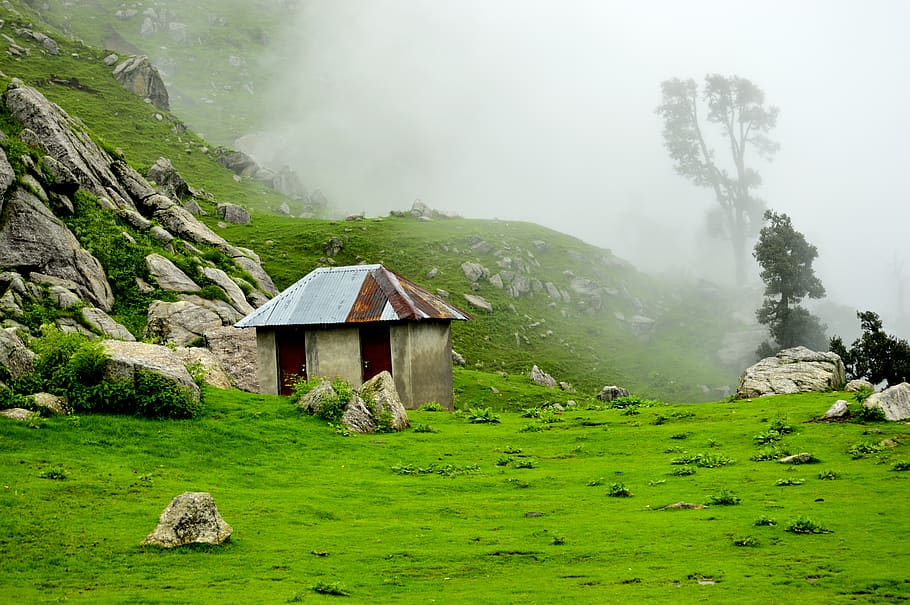 india, triund, fog, mountain, plant, scenics - nature, architecture HD wallpaper