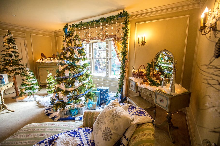 christmas tree and dressing table, plant, living room, indoors HD wallpaper