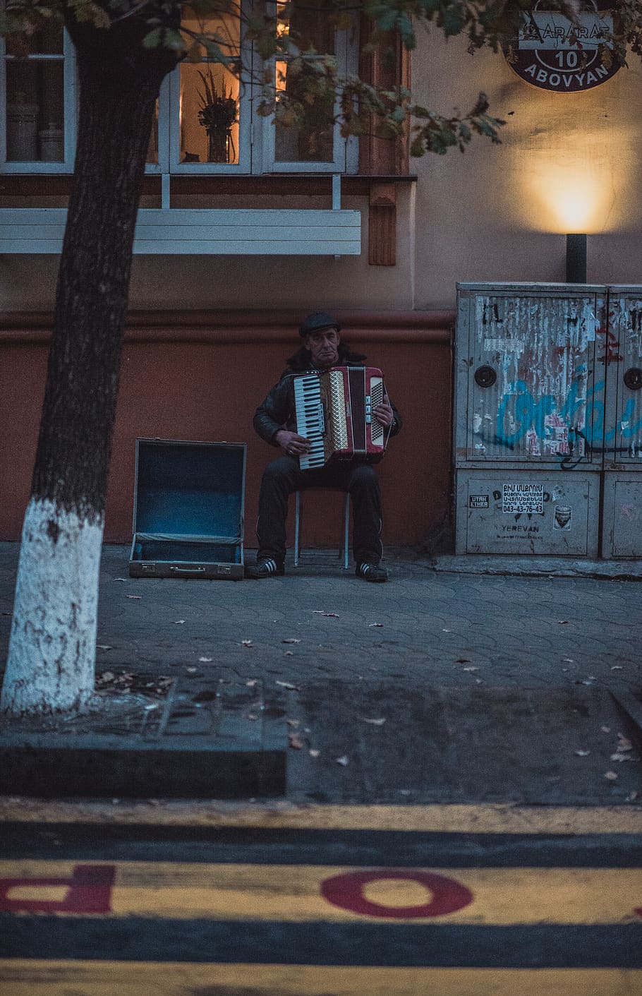 man playing accordion, human, person, interior design, indoors HD wallpaper