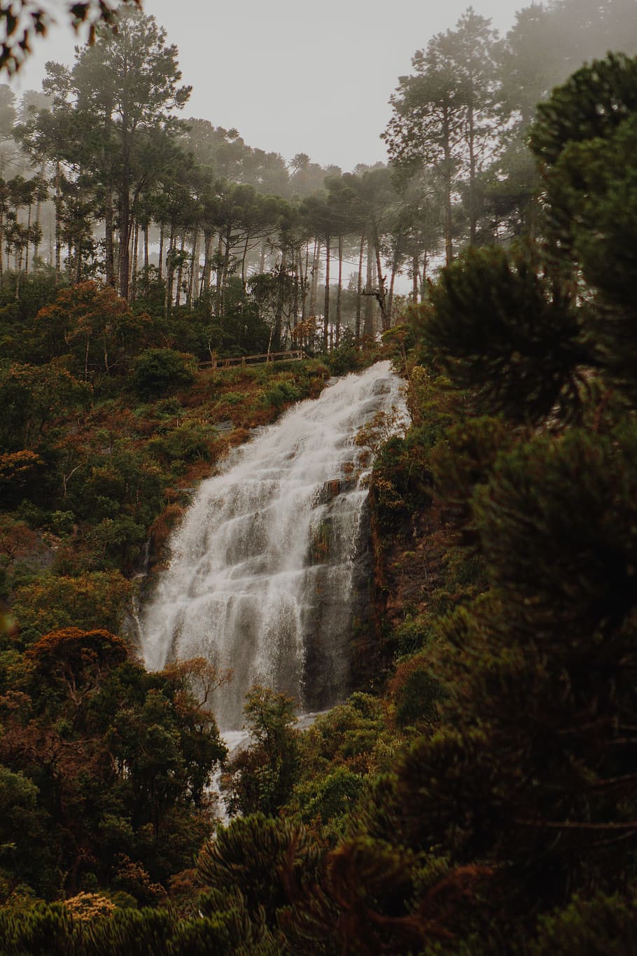 Natures Photography of Waterfalls, cascade, daylight, environment HD wallpaper