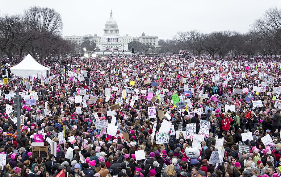 Earth First protesting group., united states, washington, northwest washington HD wallpaper