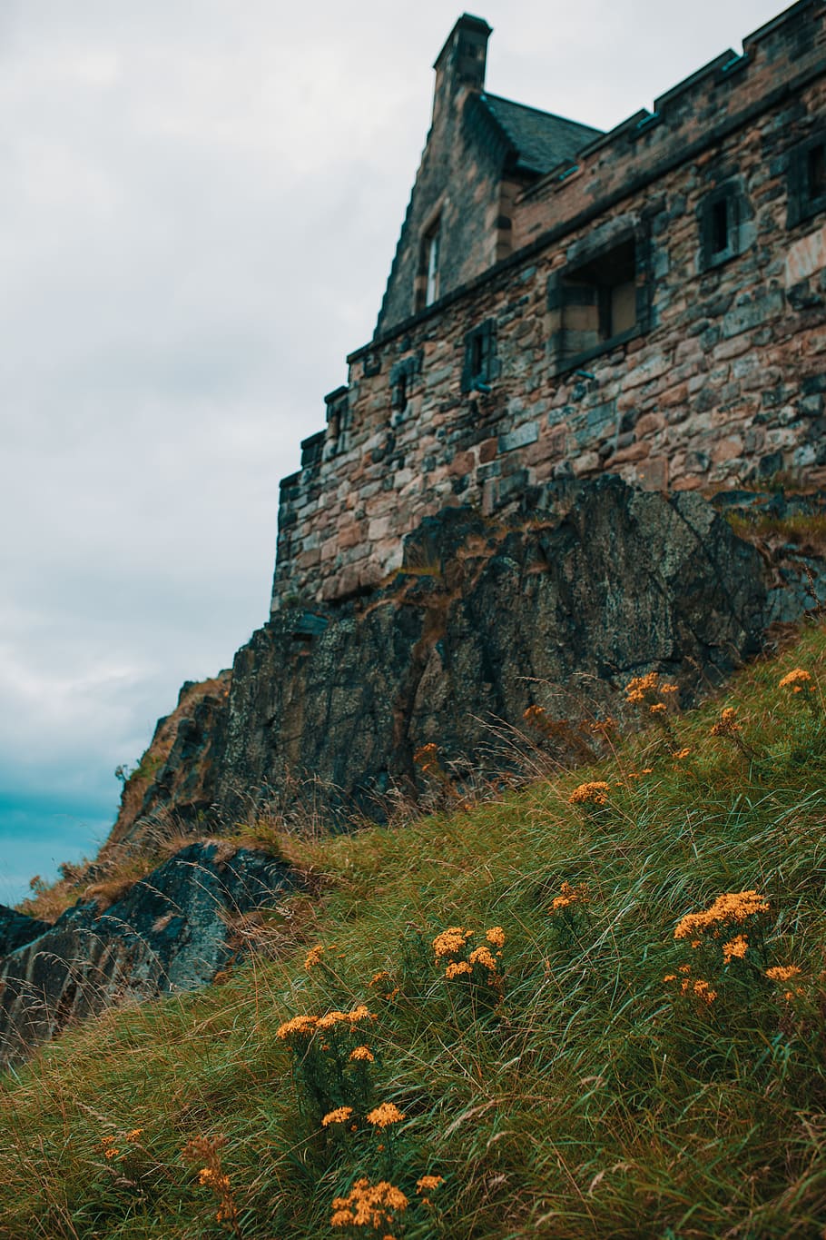 castle, edinburgh, grass, flower, wind, sea, sky, architecture HD wallpaper