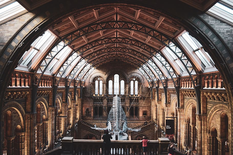 brown and grey museum, architecture, built structure, indoors HD wallpaper