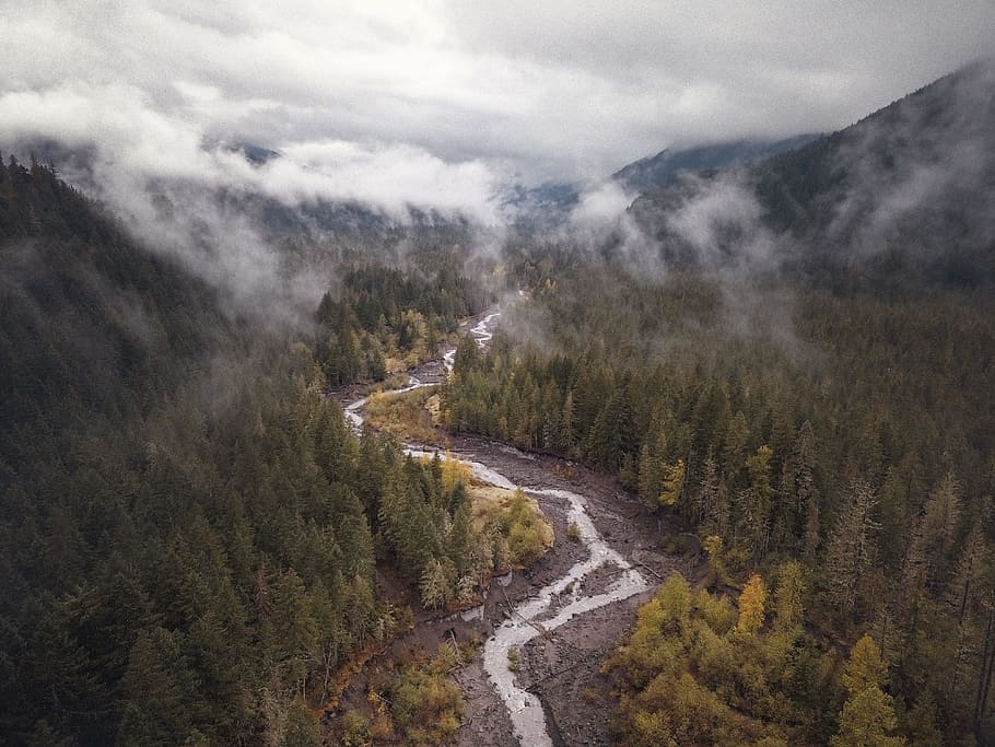 aerial view photo of river, windy, travel, beautiful, wood, forest HD wallpaper