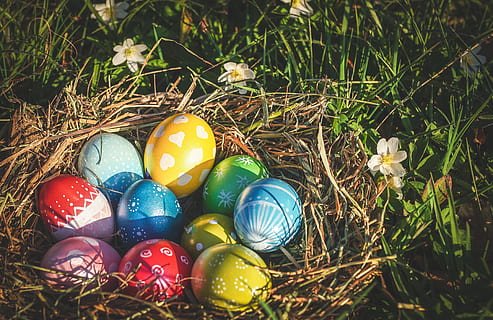easter, easter eggs, colorful, colored, spring, easter theme HD wallpaper
