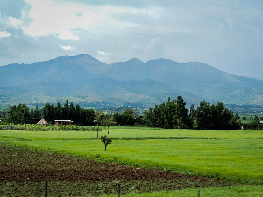 ethiopia, mountain, scenics - nature, landscape, environment, HD wallpaper