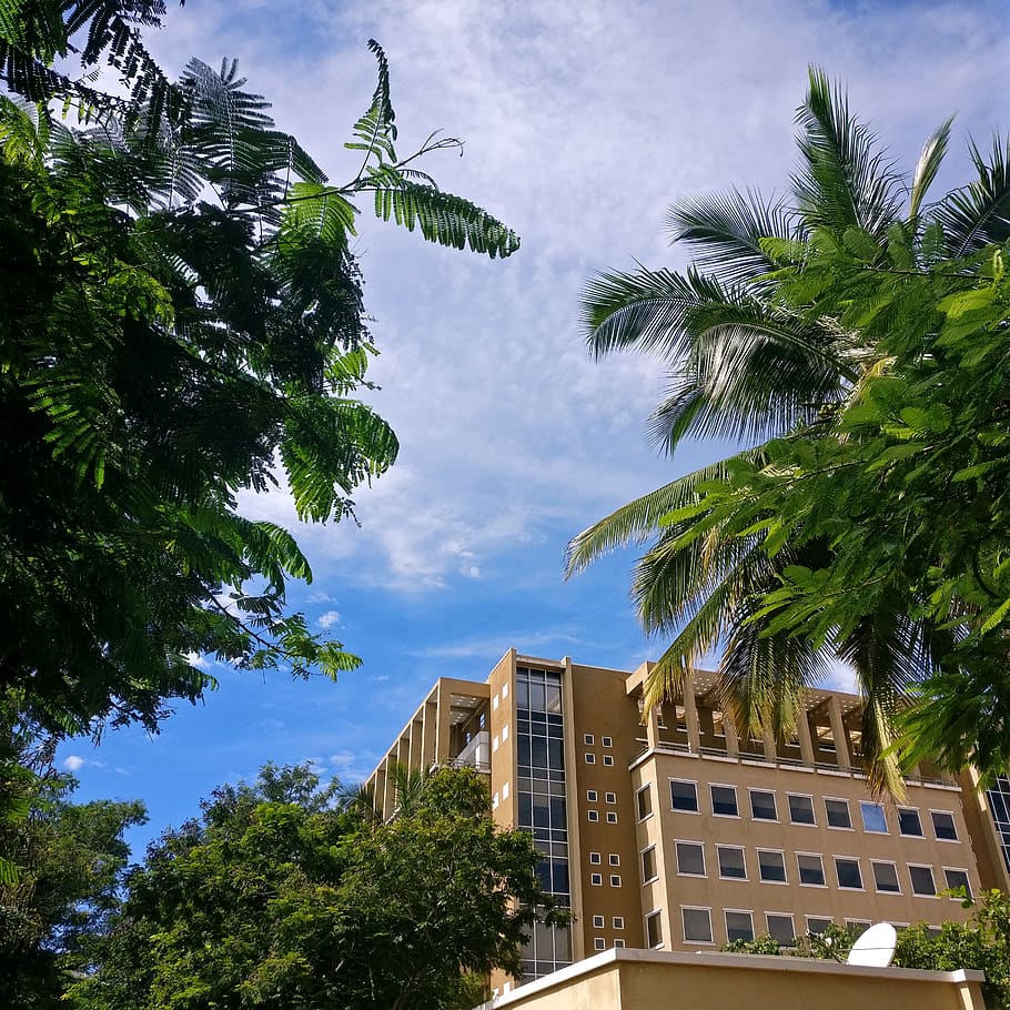 india, bengaluru, built structure, city, cloud-sky, day, green HD wallpaper