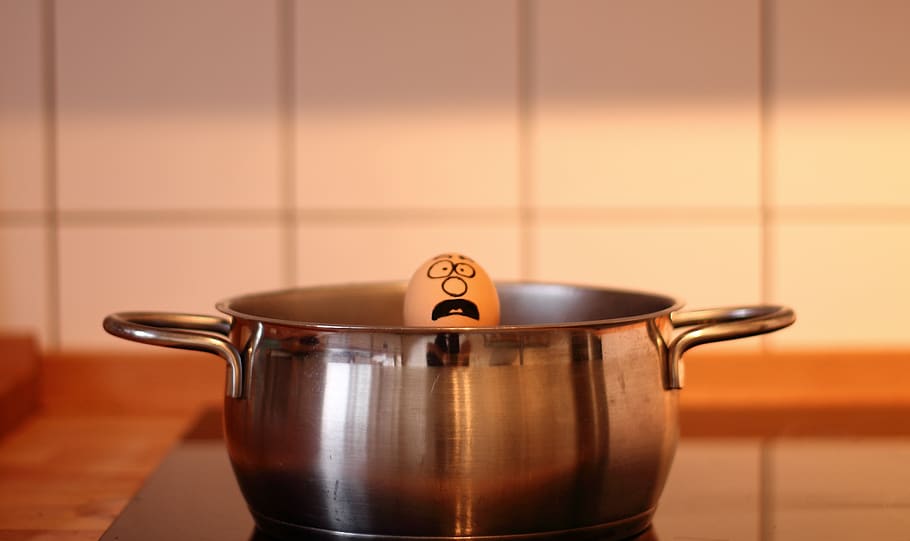 egg, cook, help, funny, drowning, proteins, scald, boil, cry HD wallpaper