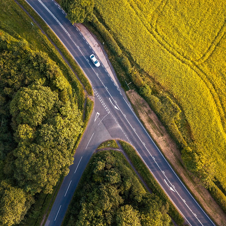 car, trees, land, landscape, nature, road, square, minimal HD wallpaper