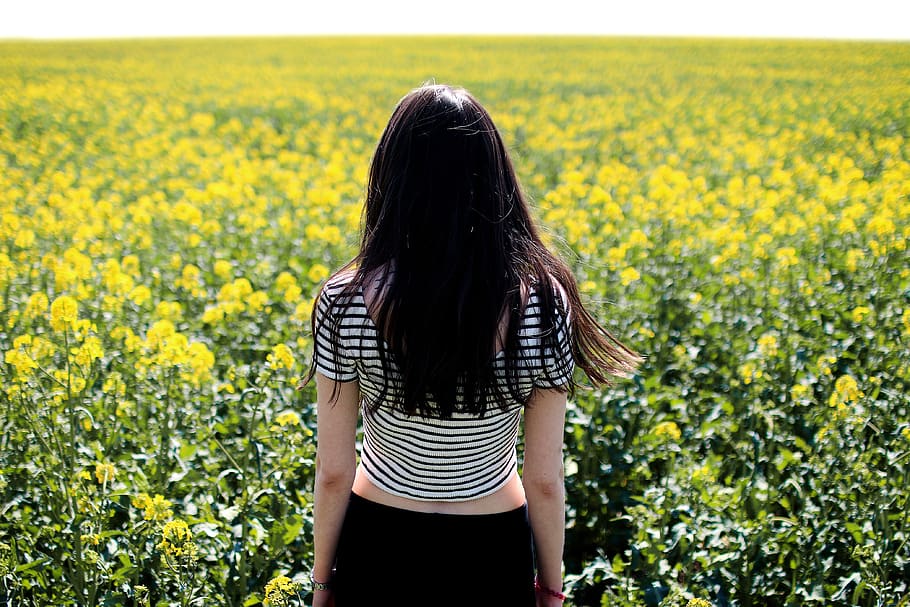Woman in White and Black Striped Crop Top Facing Field , back view HD wallpaper