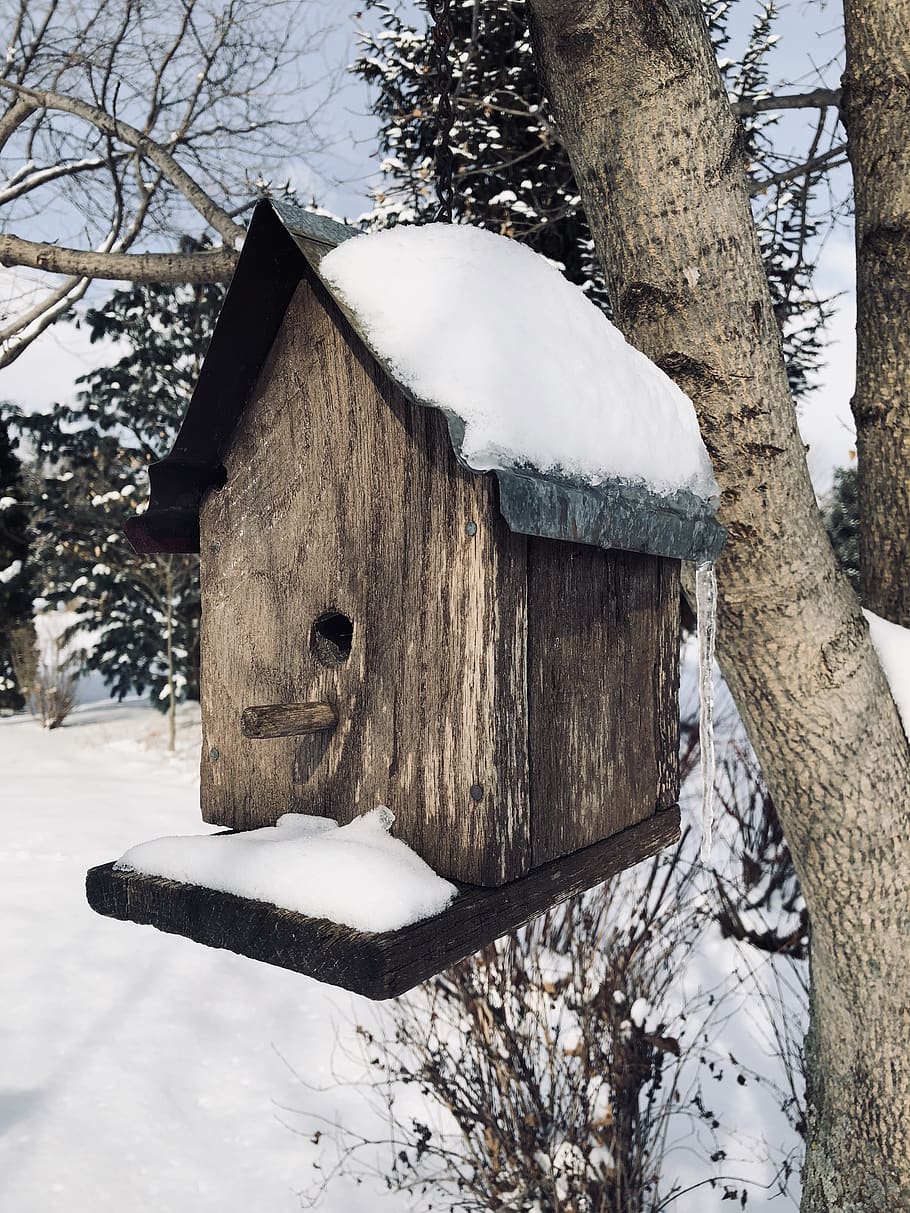 birdhouse, cold, ice, winter, midwest, snow, bird house, icicle HD wallpaper