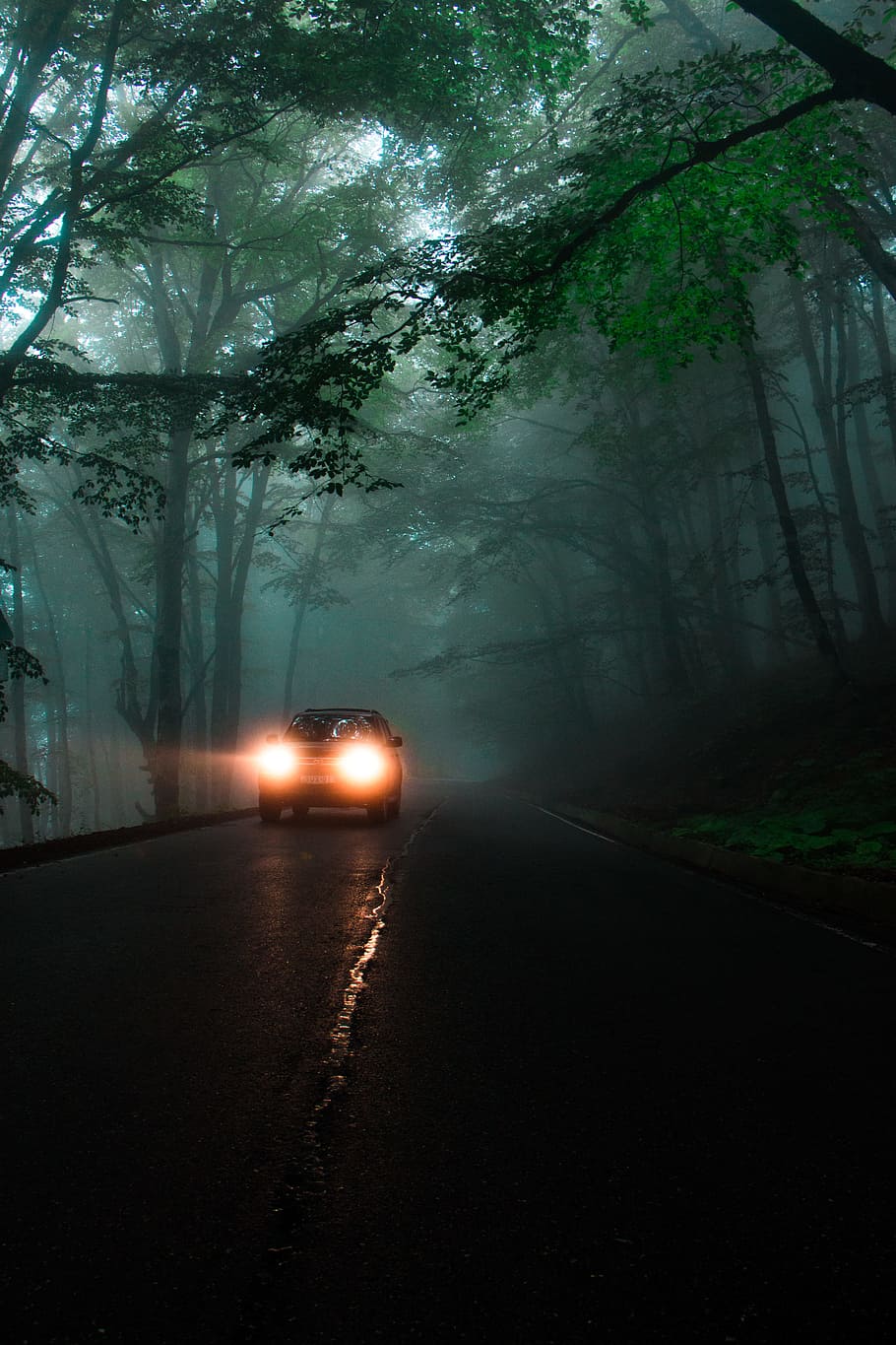 car running on road between trees during daytime, light, eerie, HD wallpaper