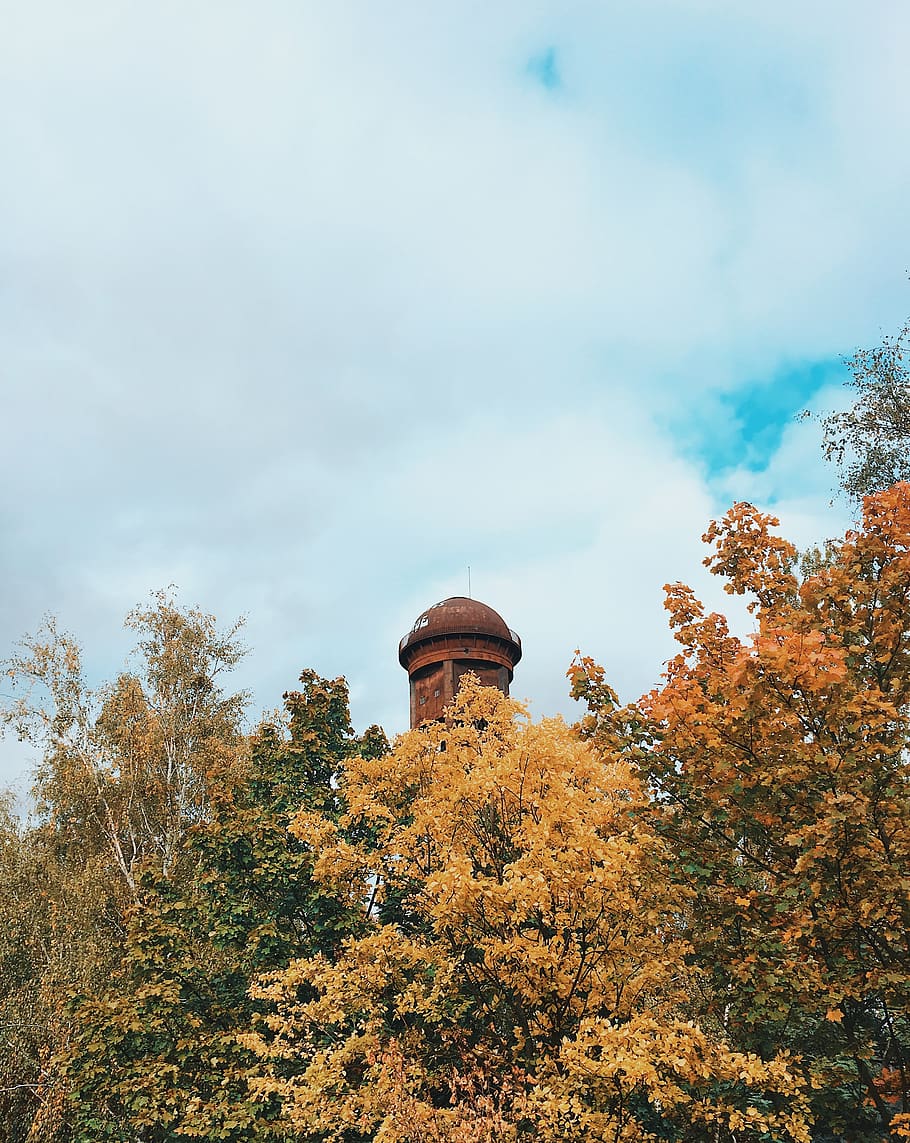 germany, berlin, prellerweg 47, tree, plant, sky, architecture HD wallpaper
